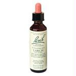 Larch Flower Esesnce 20ml BAC