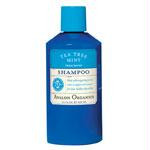 TeaTreeMintShampoo 14oz AVA