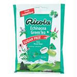 EchinacGreenTeaSugrFree3ozRIC