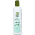 TeaTreeReplensShampoo 12oz.DES