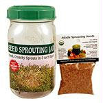 Seed SproutingJar GlassQrtHDY