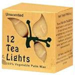 UnscentedCreamTeaLights12pkAHB