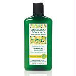 Sunflower&CitrusShamp11.5flozA