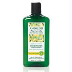 Sunflower&CitrusCond11.5flozAN