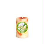 CitronellaPlusCandle2x3PillARO