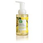GngrBergmtFoamHndSoap9.5flozCL