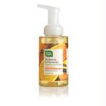 OrngVnllaFoamHandSoap9.5flozCL