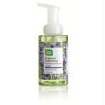 LavAbsolutFoamHndSoap9.5flozCL