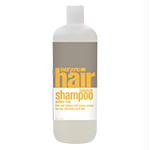 Balance Shampoo 20floz EVY