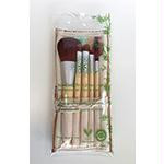 EcoFriendlyProCosBrushSet HBG
