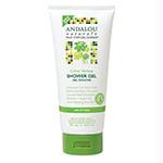 CitrusVerbenaShowerGel8.5ozAND