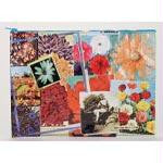 FlowerGardenJmboPch10.25x13.75