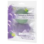 PerfectionKonjacSponge2cnt AND