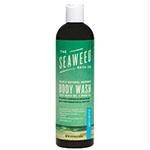 Unscented Body Wash 12floz SWB
