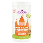 Toy&SurfWipesCannFrFree75ctDAP