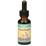 Echinacea-Astragalus 1oz HE