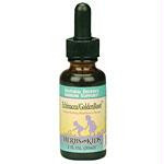 Ech-Goldenroot Blackberry 1oHE