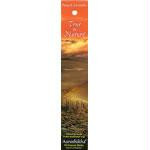 FRENCH LAVENDER INCENSE 10g AI